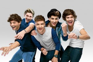 Due libri sugli One Direction nel 2014